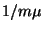$1/m\mu$