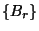 $\left\{B_r\right\}$