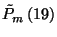 $\tilde{P}_m \left(19\right)$