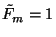 $\tilde{F}_m=1$